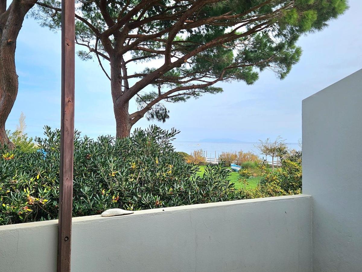 Apartmán Domaine U Pozzu Sisco Exteriér fotografie